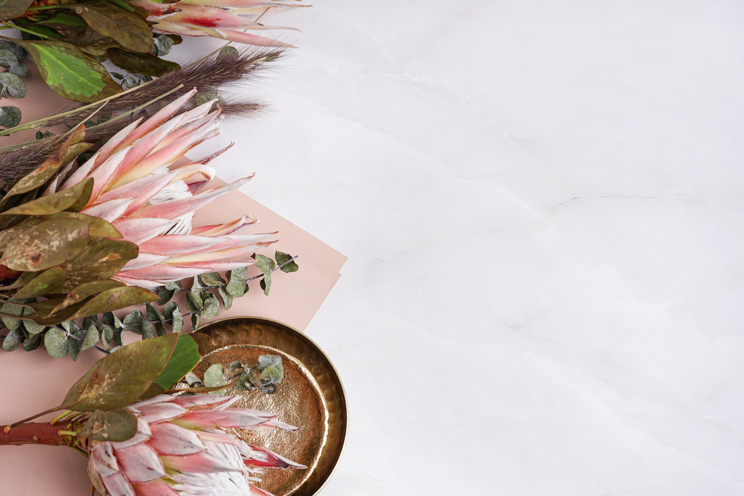 Beautiful Pink Protea Flowers and Plates on Light Background